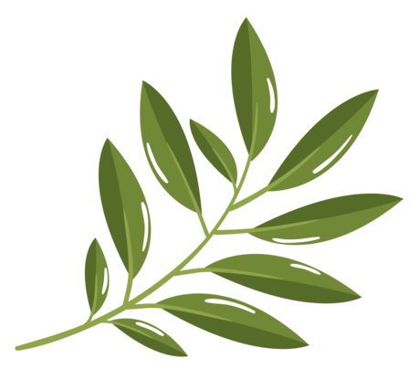 Mes valeurs : Authenticité - Feuille d'olivier